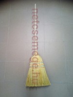 Tidinet cirok seprü 5 varásos